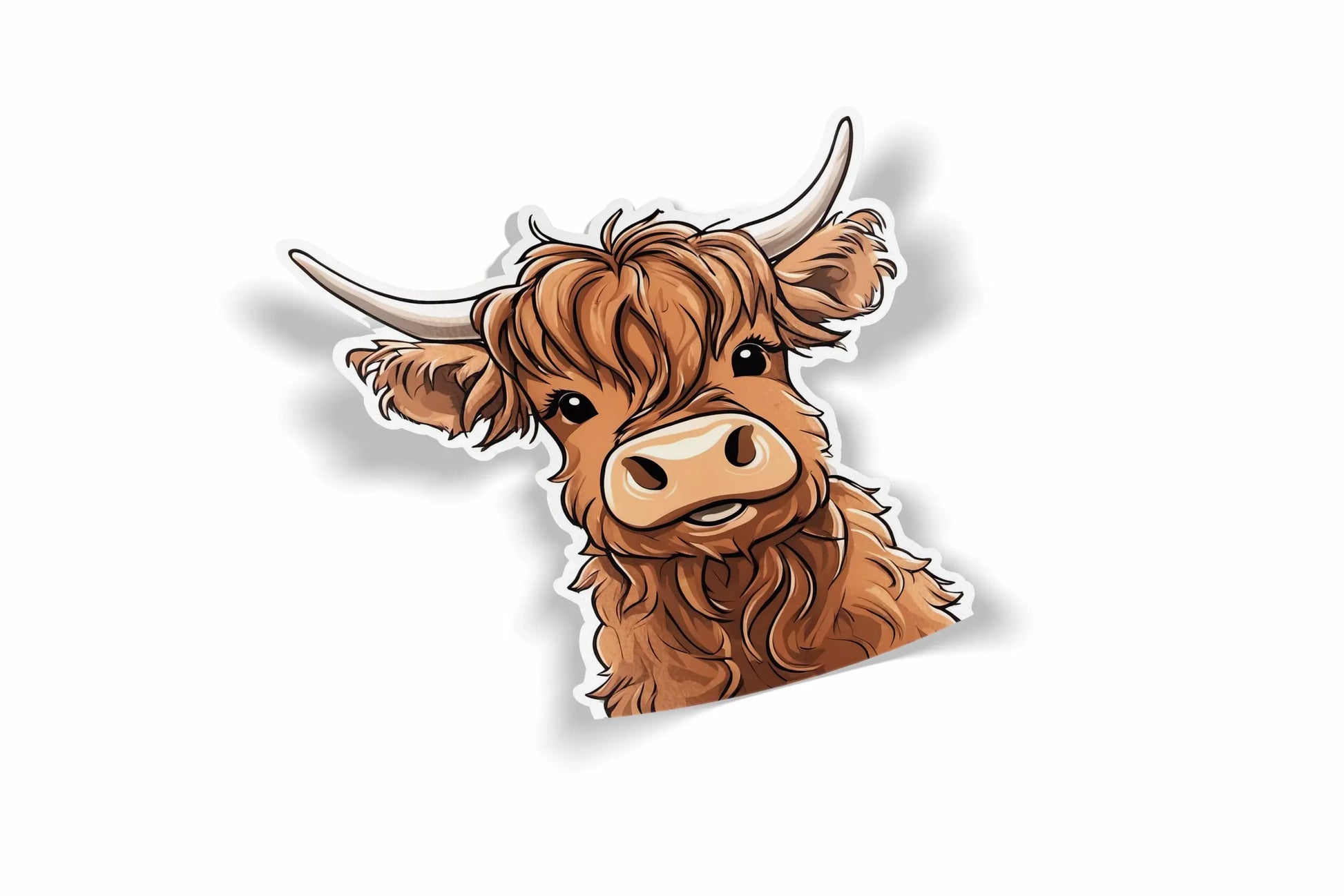 Scottish Cow?á